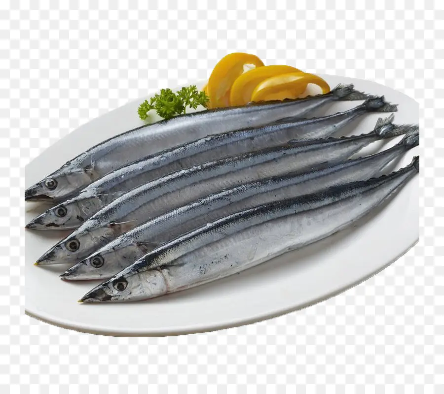 Saury Pasifik，Saury PNG