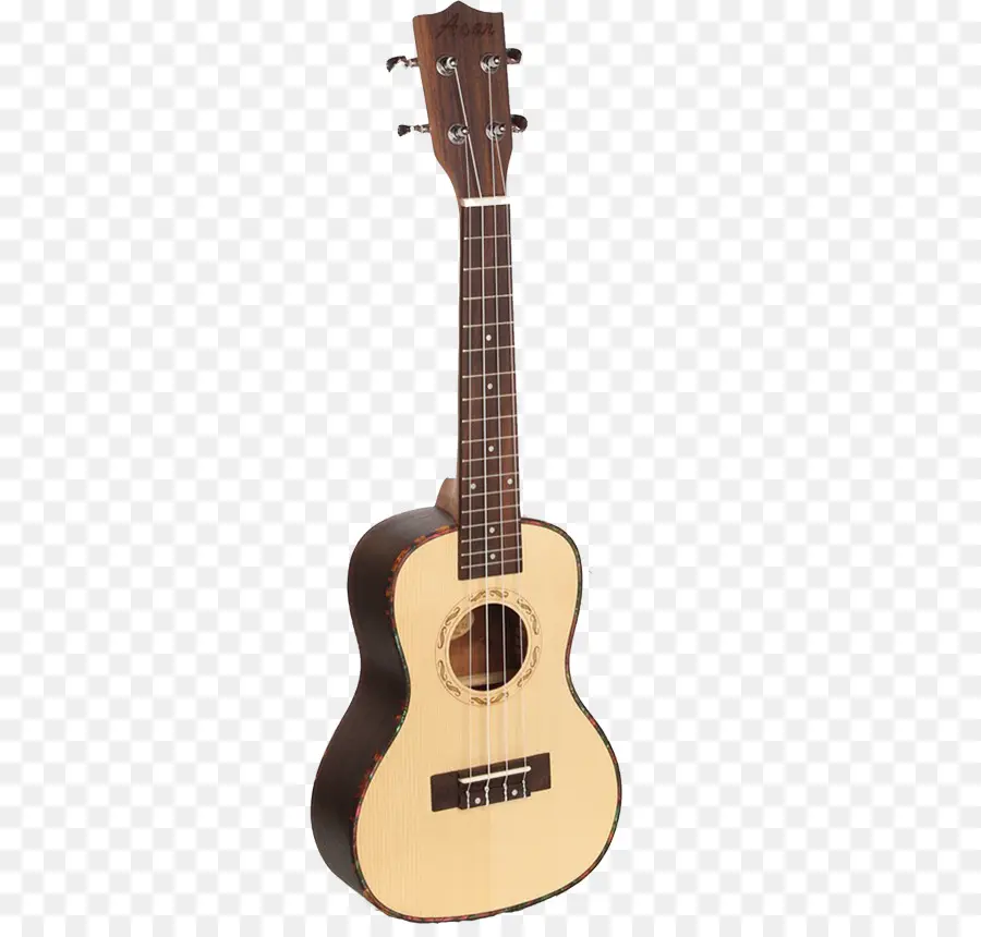 Gitar Kecil，Musik PNG