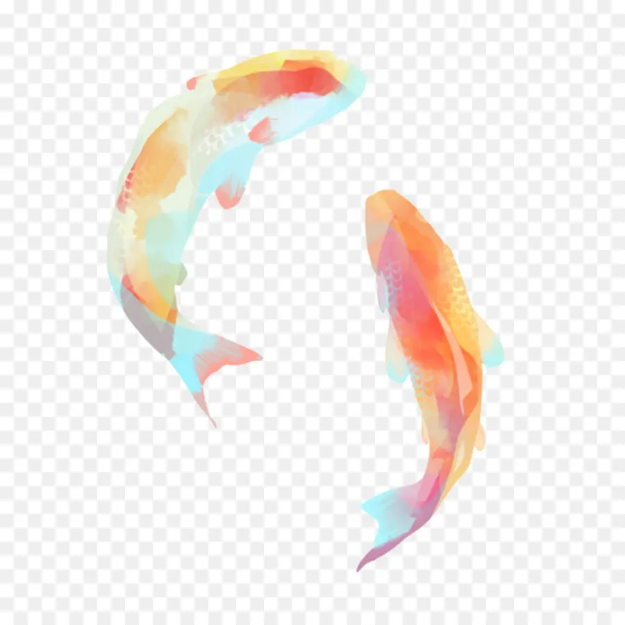 Ikan Koi，Air PNG