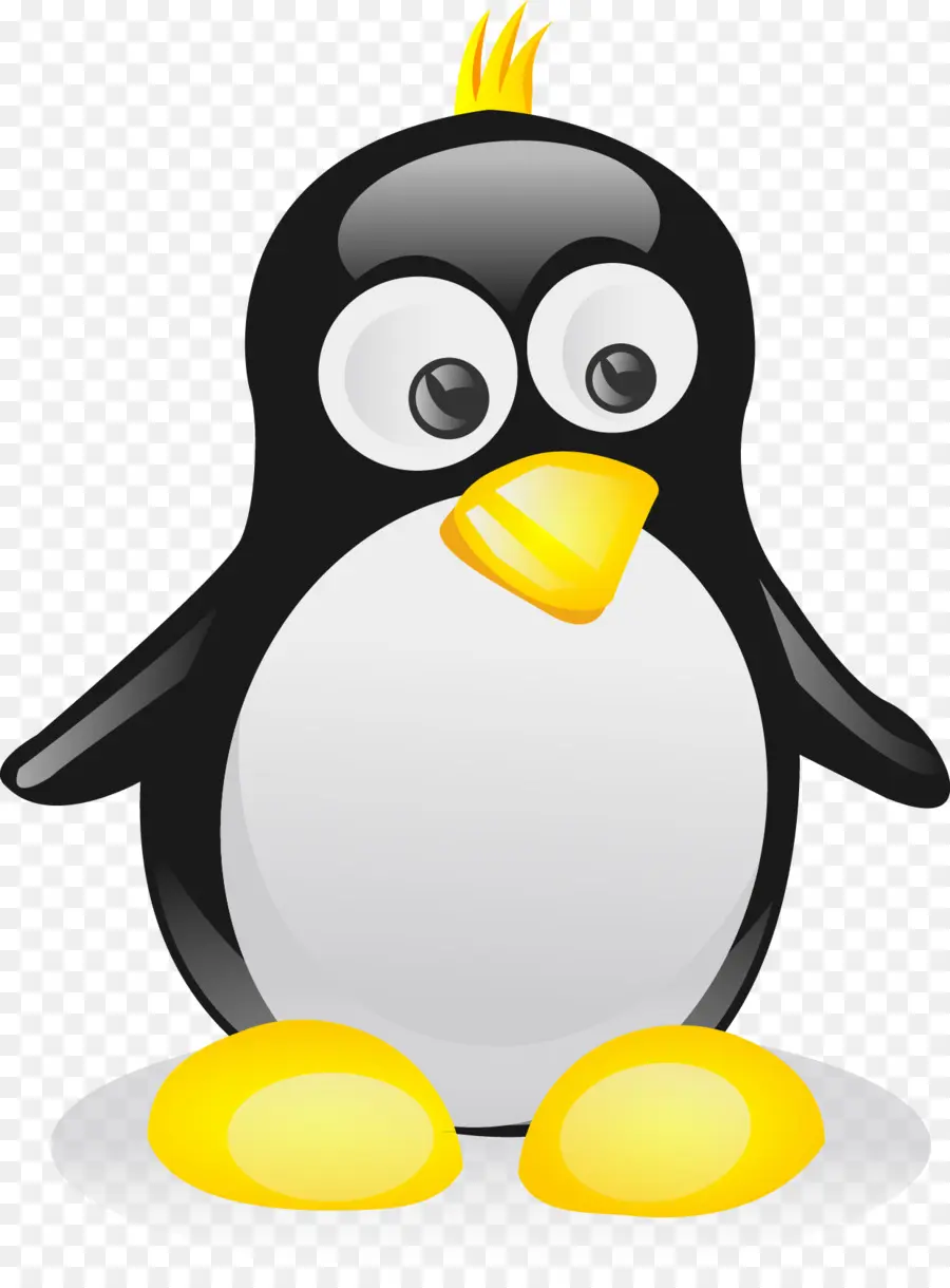 Penguin，Konten Gratis PNG
