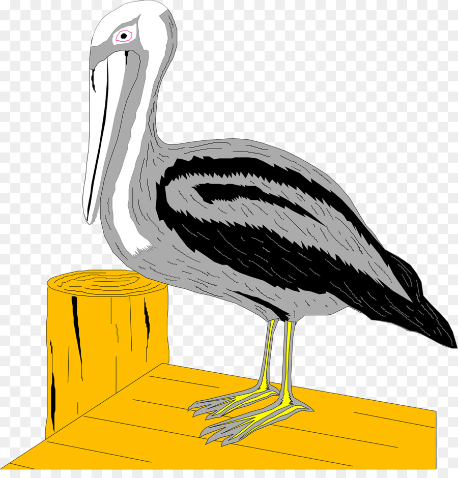 Pelican，Dok PNG