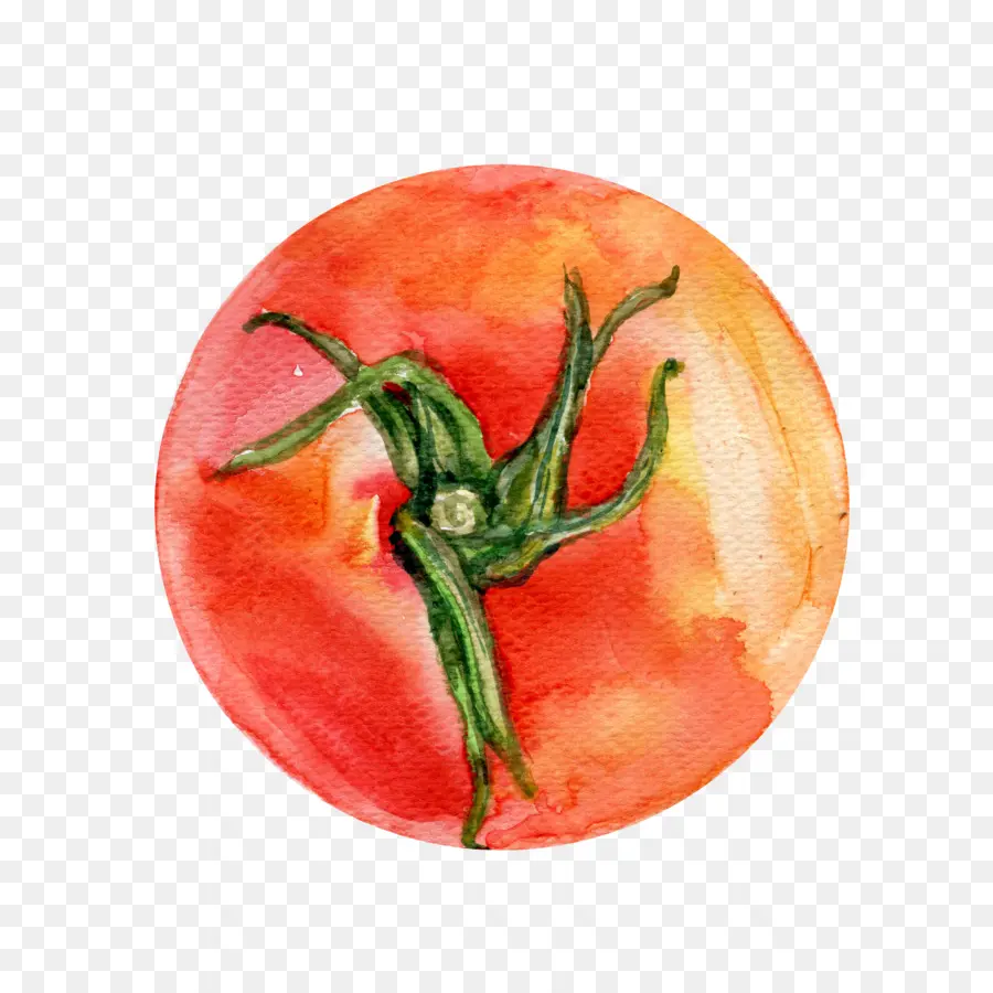 Tomat，Bush Tomat PNG