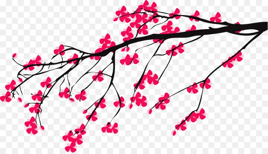 Blossom，Sakura PNG