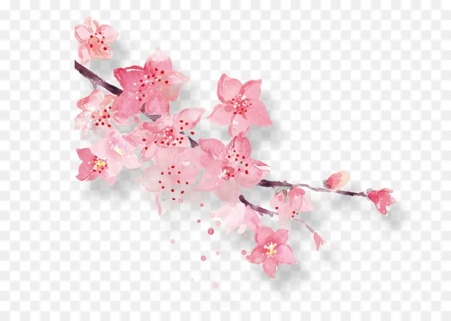 Blossom，Pink PNG