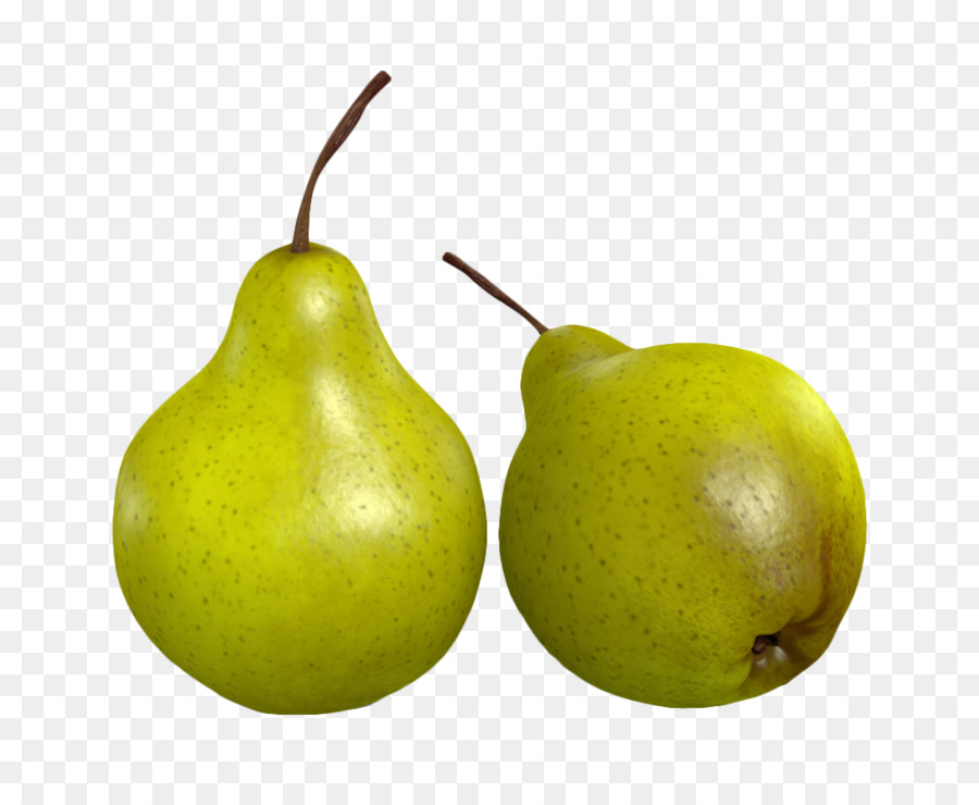 Eropa Pir Pyrus Nivalis Salju gambar png