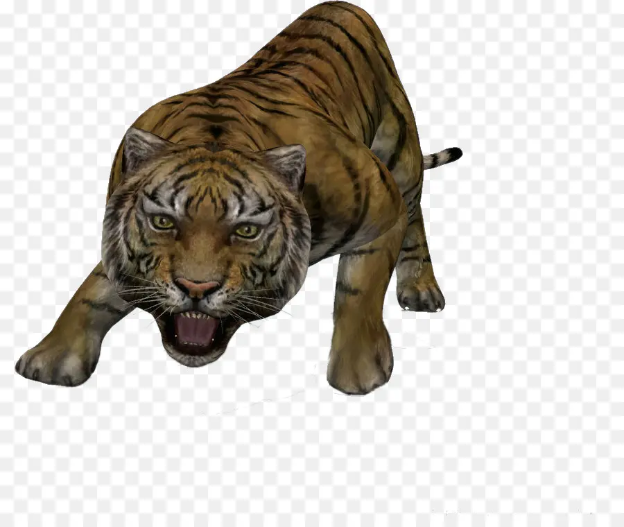 Harimau，Komputer Grafis 3d PNG