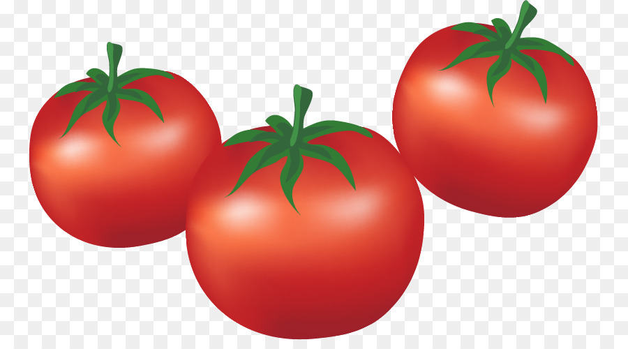 Tomat Plum, Tomat, Bush Tomat gambar png