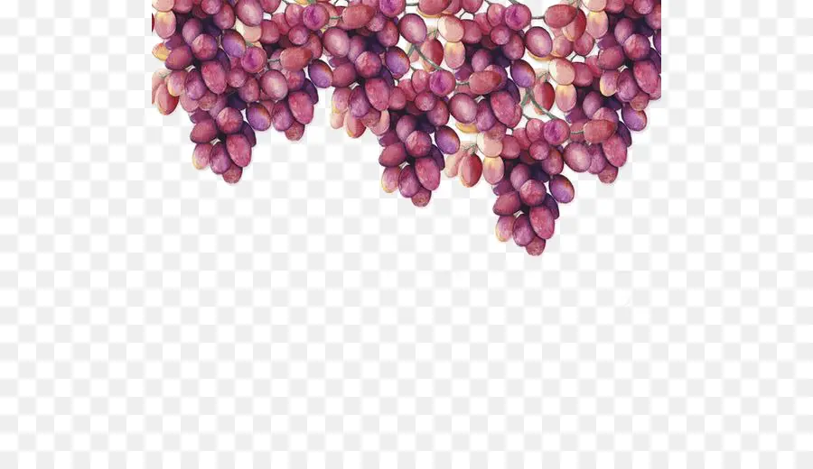 Anggur，Lukisan Cat Air PNG