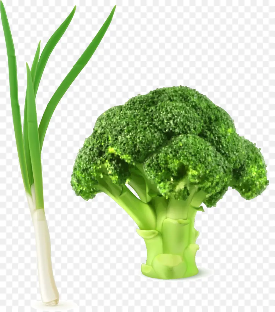 Brokoli，Brokoli Selada Dr Kubis PNG