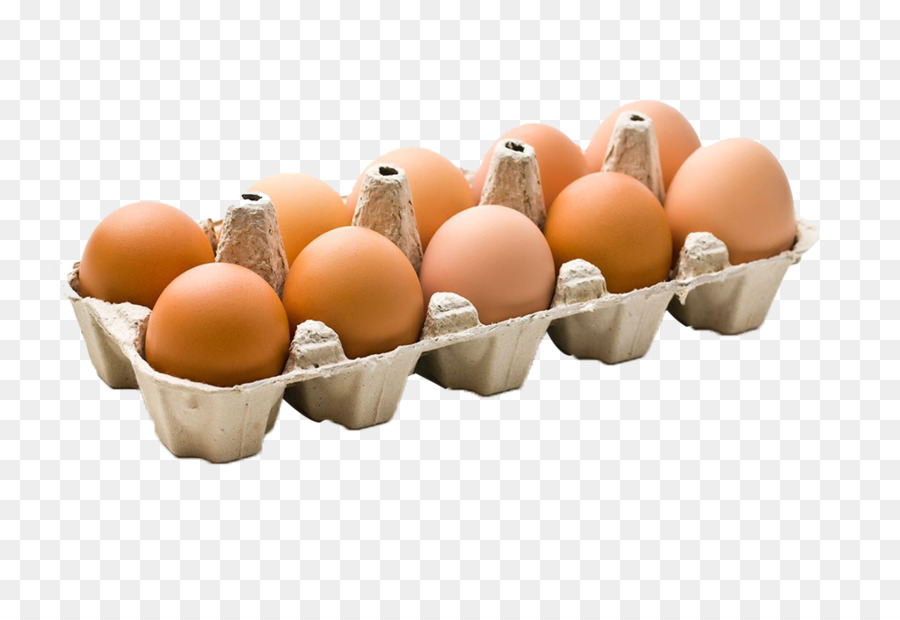  Ayam  Telur  Karton Telur  gambar png