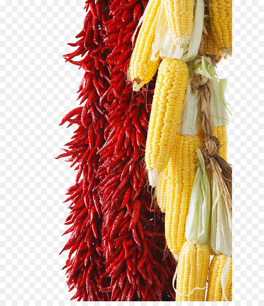 Jagung Dan Cabai Merah，Jagung Kuning PNG