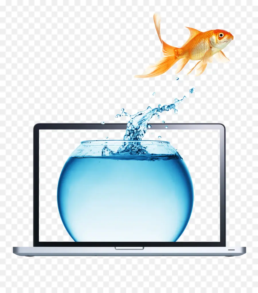 Ikan Mas，Laptop PNG