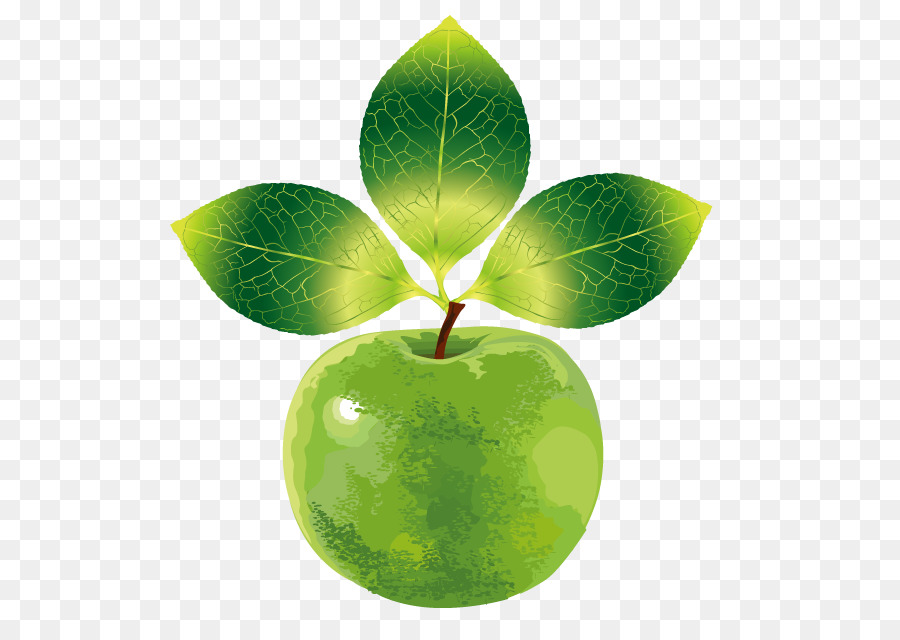 Jus Apel，Apple PNG