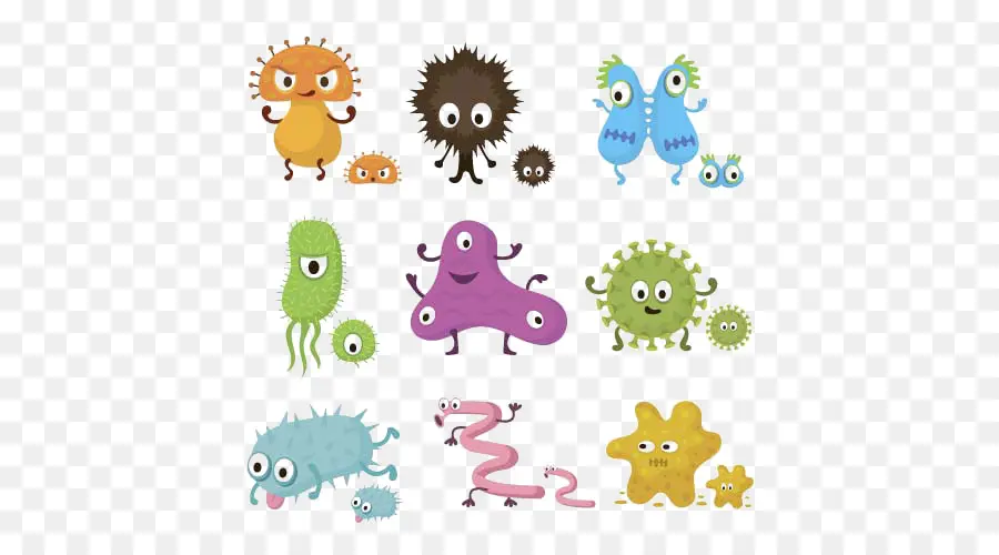 Bakteri，Kartun PNG