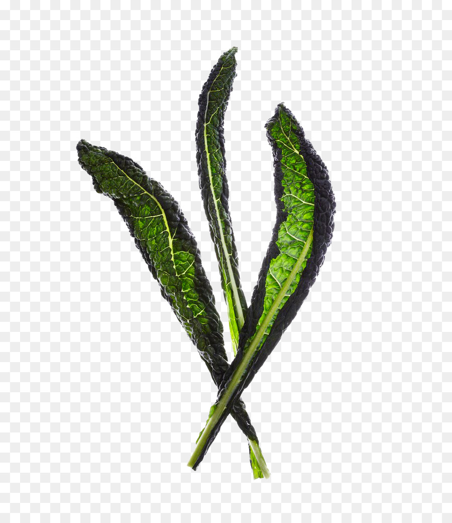 Daun，Sayuran PNG