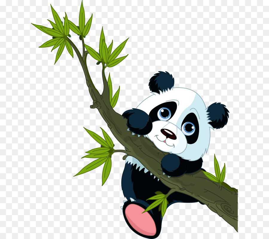  Panda  Raksasa Panda  Merah Beruang  gambar  png