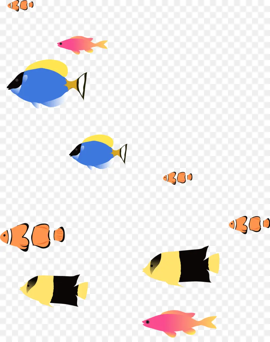 Ikan Laut Dalam，Ikan PNG