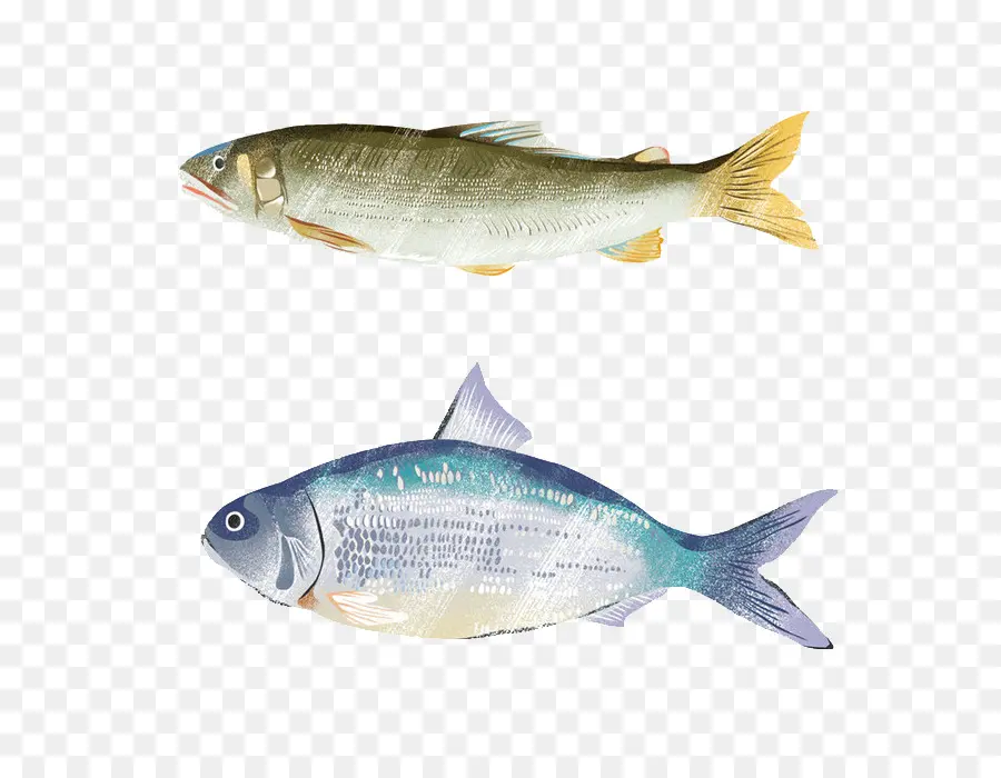 Ikan，Akuatik PNG