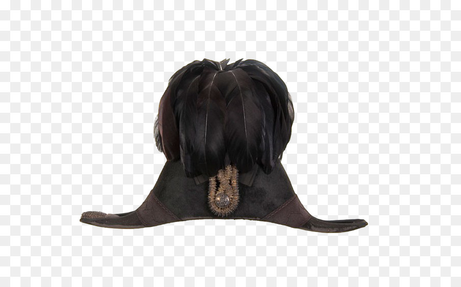 Topi，Desainer PNG