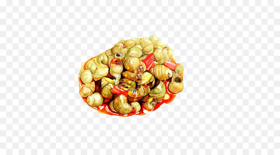 Siput，Kerang PNG