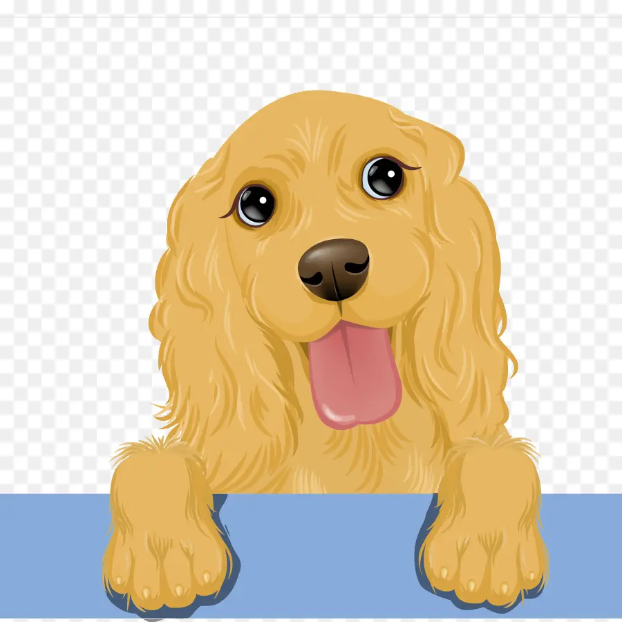 Anjing Golden Retriever，Anjing PNG