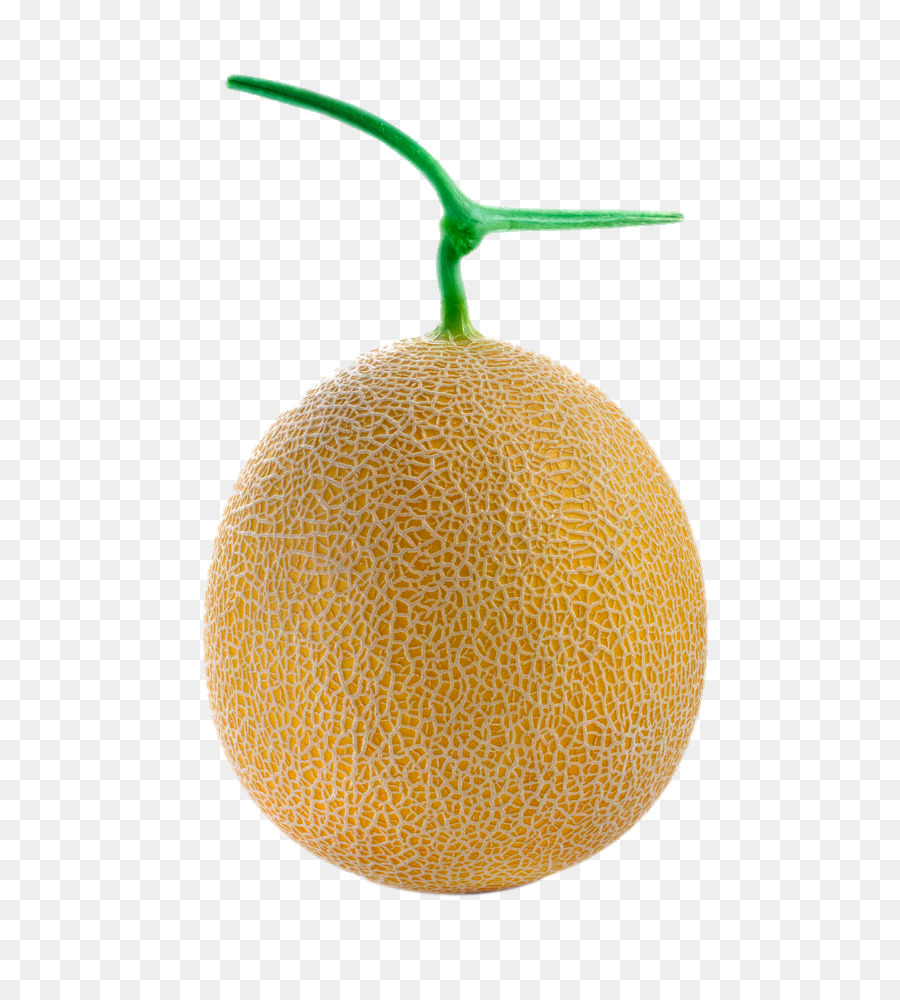 Melon，Galia Melon PNG