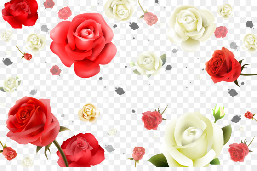 Unduh 9800 Background Putih Bunga Mawar Gratis Terbaik