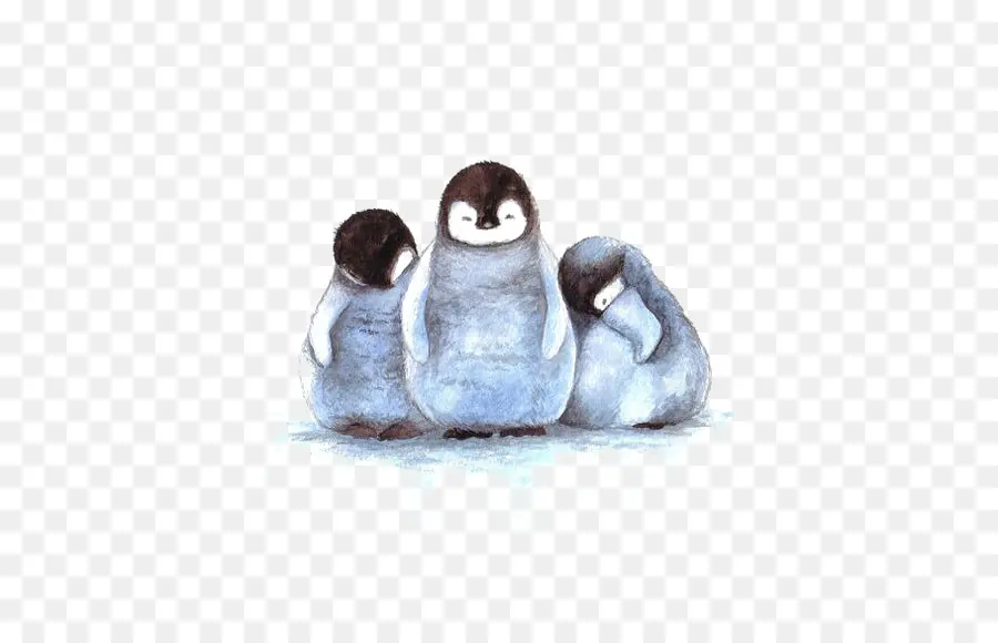 Penguin，Bayi Penguin PNG