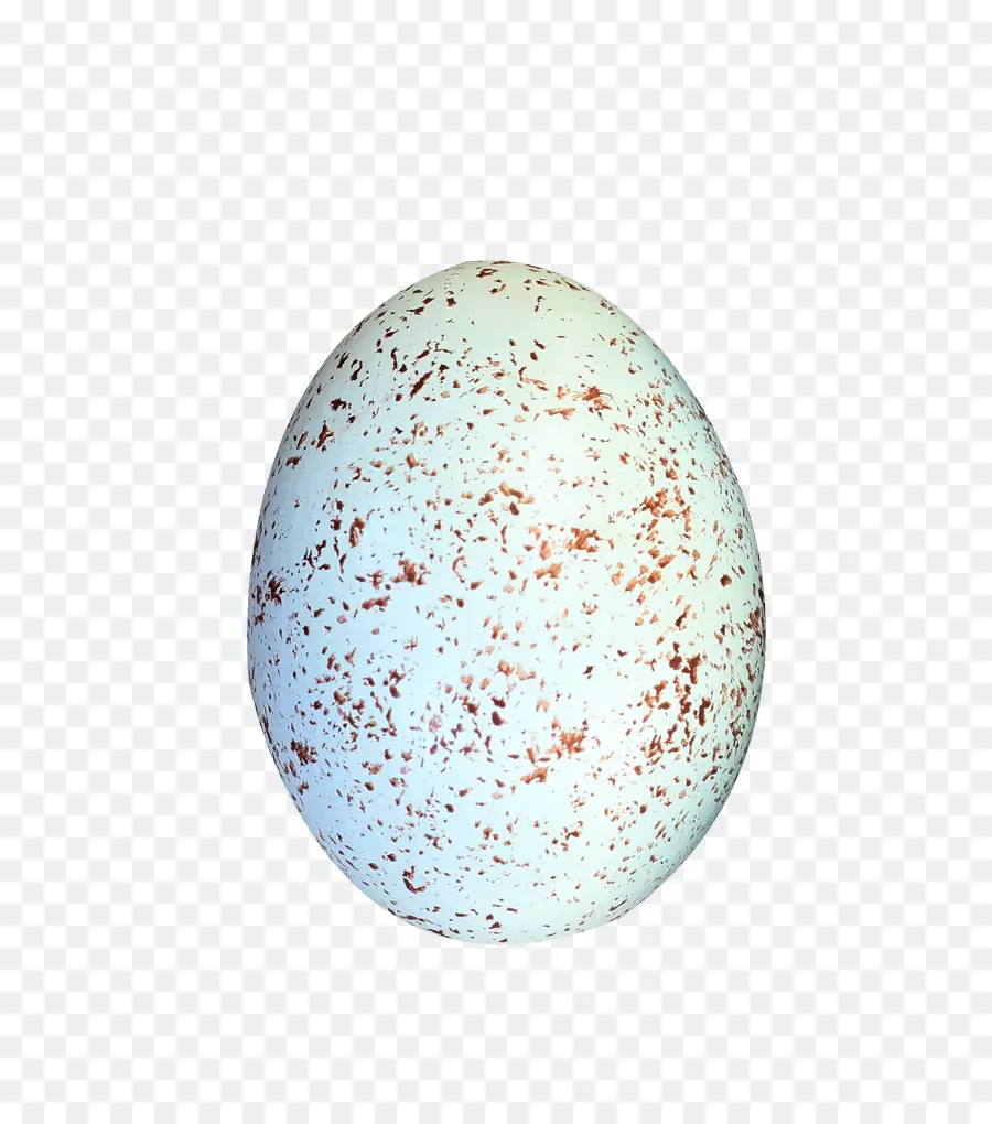 Telur Burung，Telur PNG