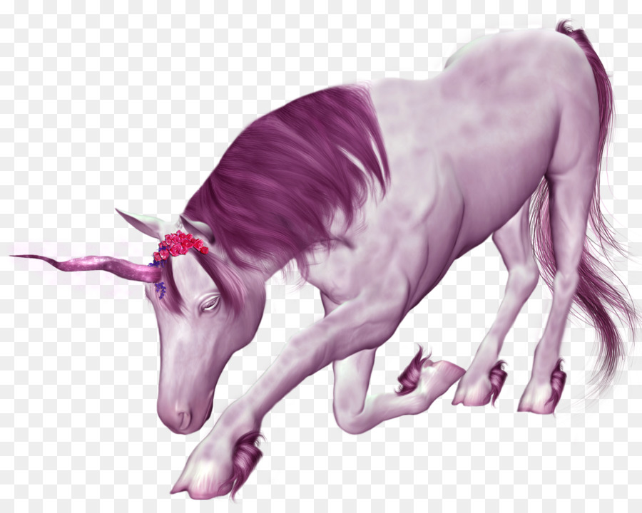 Unicorn，Mitos PNG