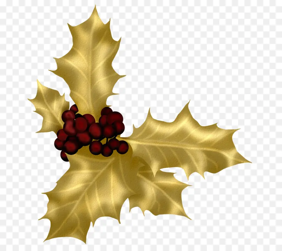 Holly，Daun Daun PNG