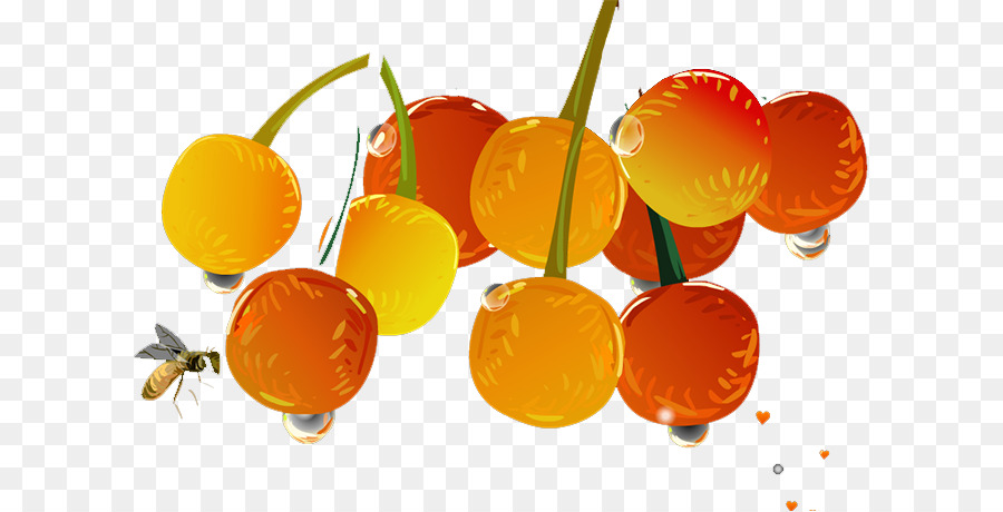 Clementine，Jeruk PNG