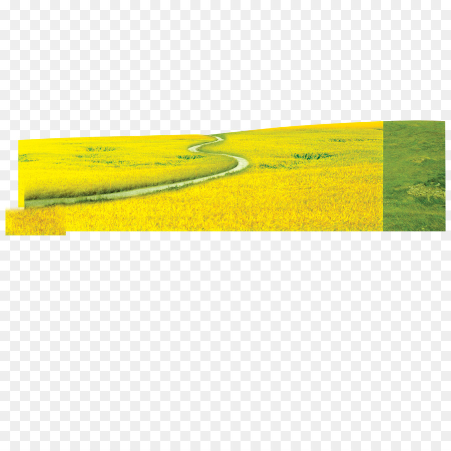 Unduh 860 Koleksi Background Rumput Kuning Paling Keren