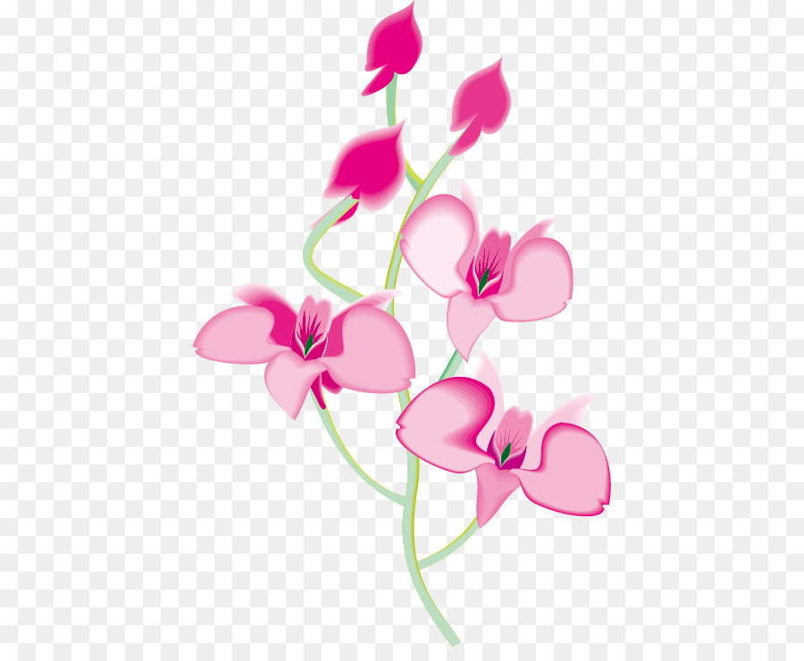 Koleksi 8800 Gambar Animasi  Bunga  Anggrek  Terbaik Gambar 