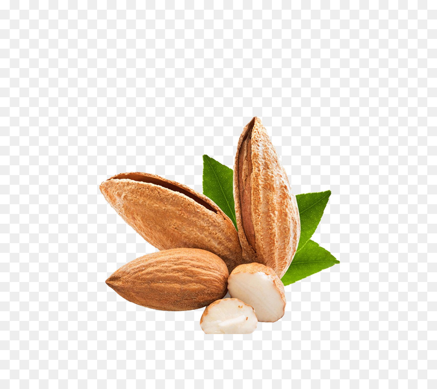 Kacang Almond，Gila PNG