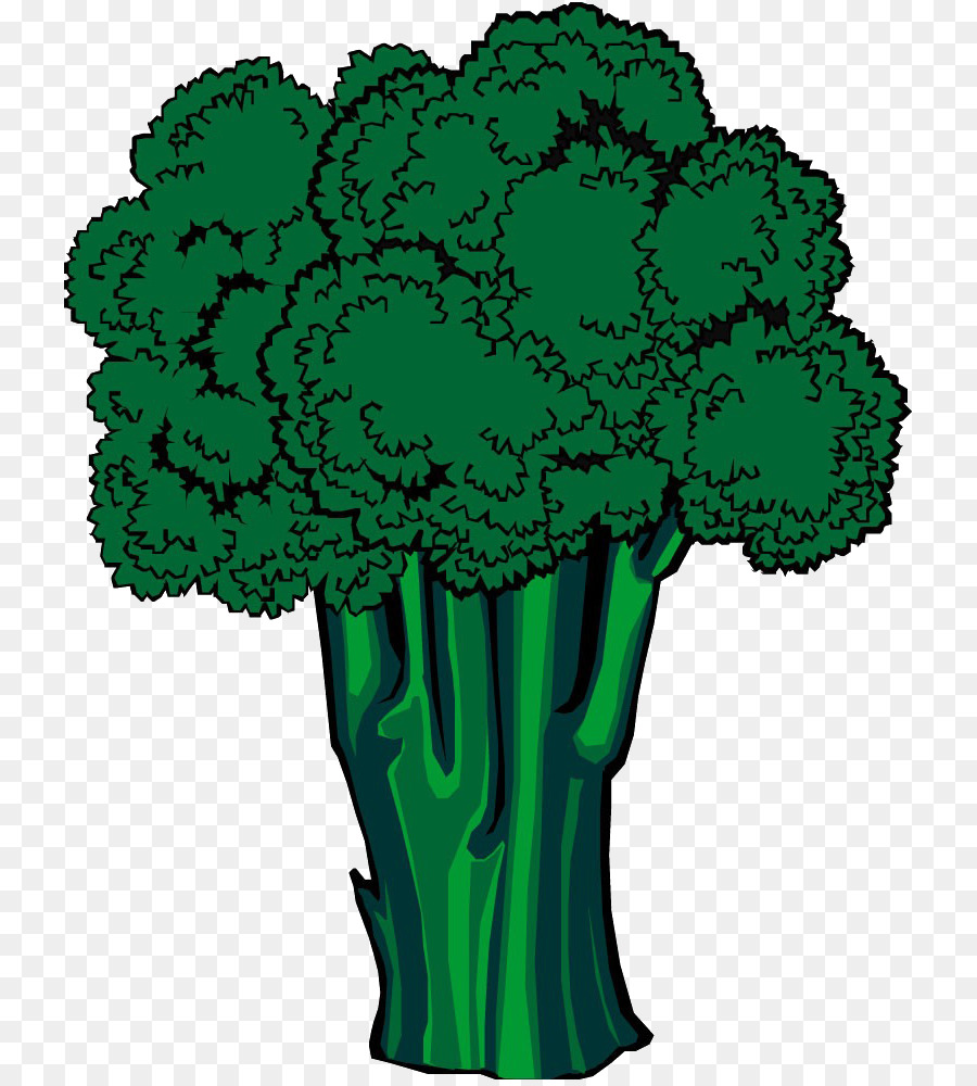 Brokoli，Adobe Ilustrator PNG
