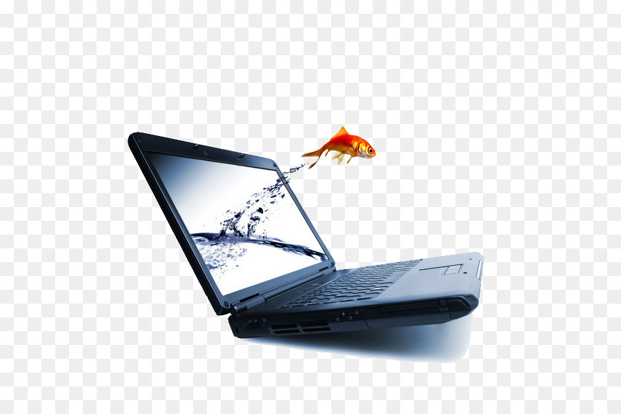 Ikan Mas，Laptop PNG