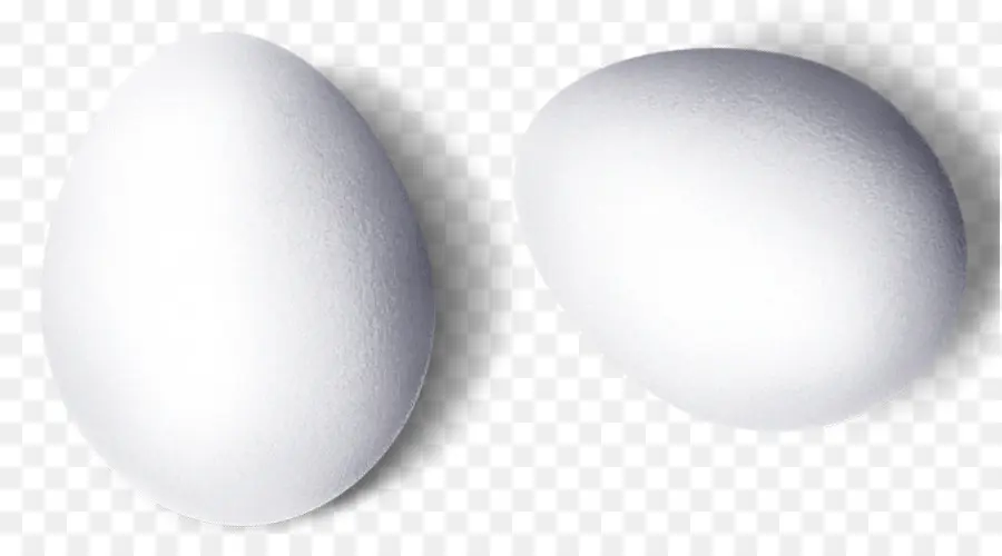 Telur，Komputer PNG