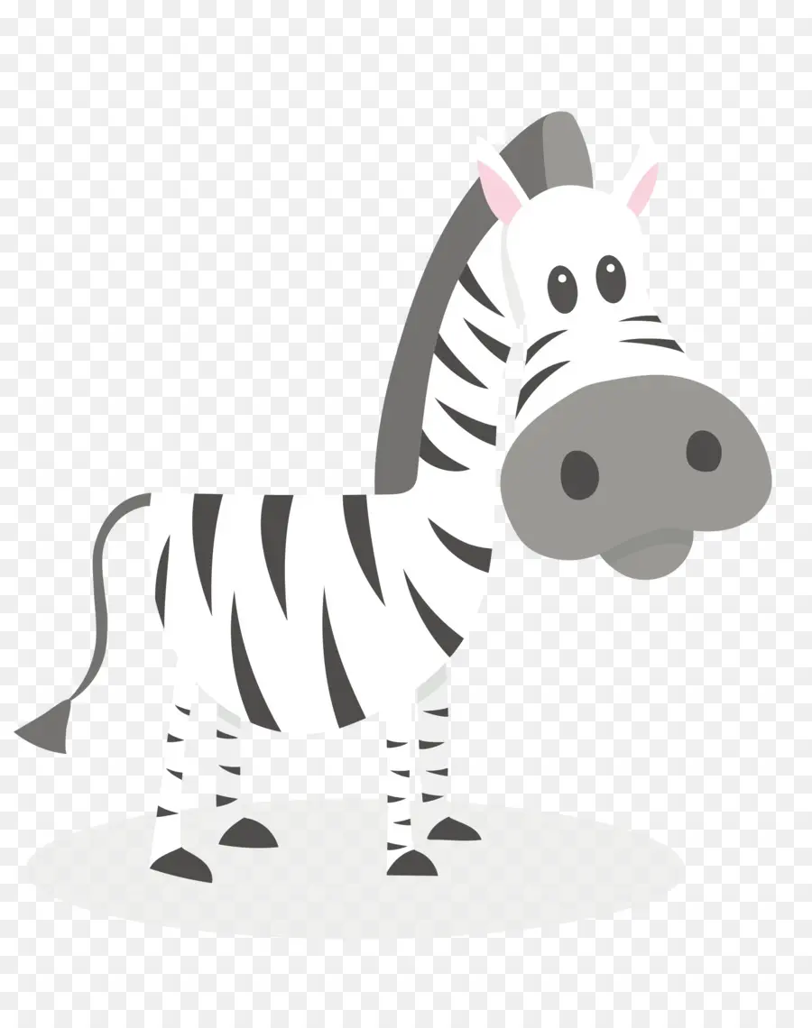 Zebra，Hitam Dan Putih PNG