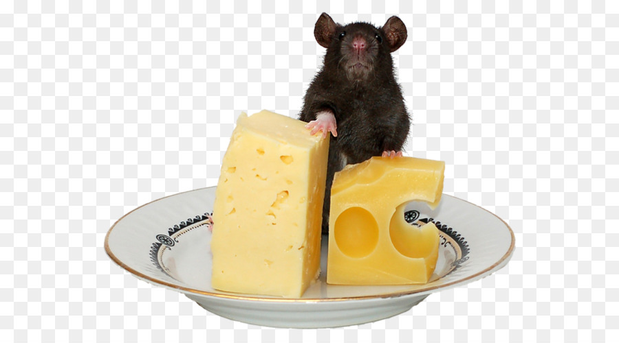 Mouse，Keju PNG