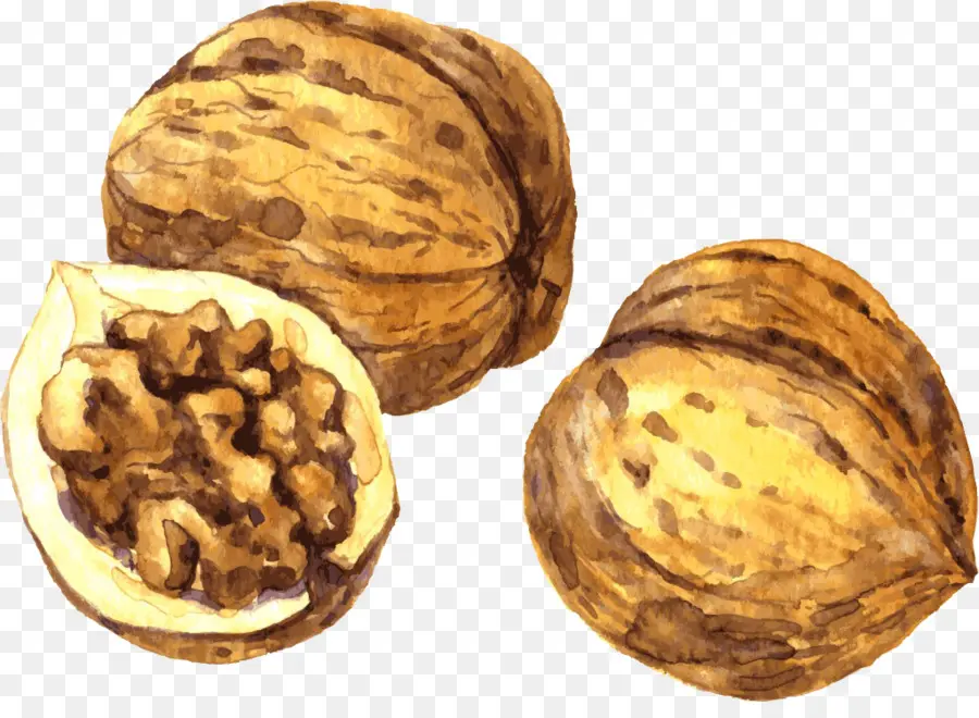 Kacang，Lukisan PNG