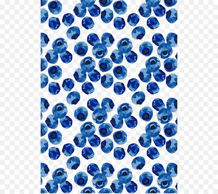 Blueberry Untuk Sal，Blueberry PNG