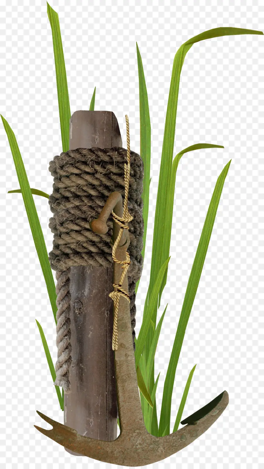 Tali，Kabel Listrik PNG