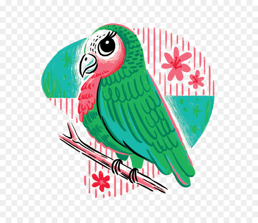 Burung Beo，Burung PNG