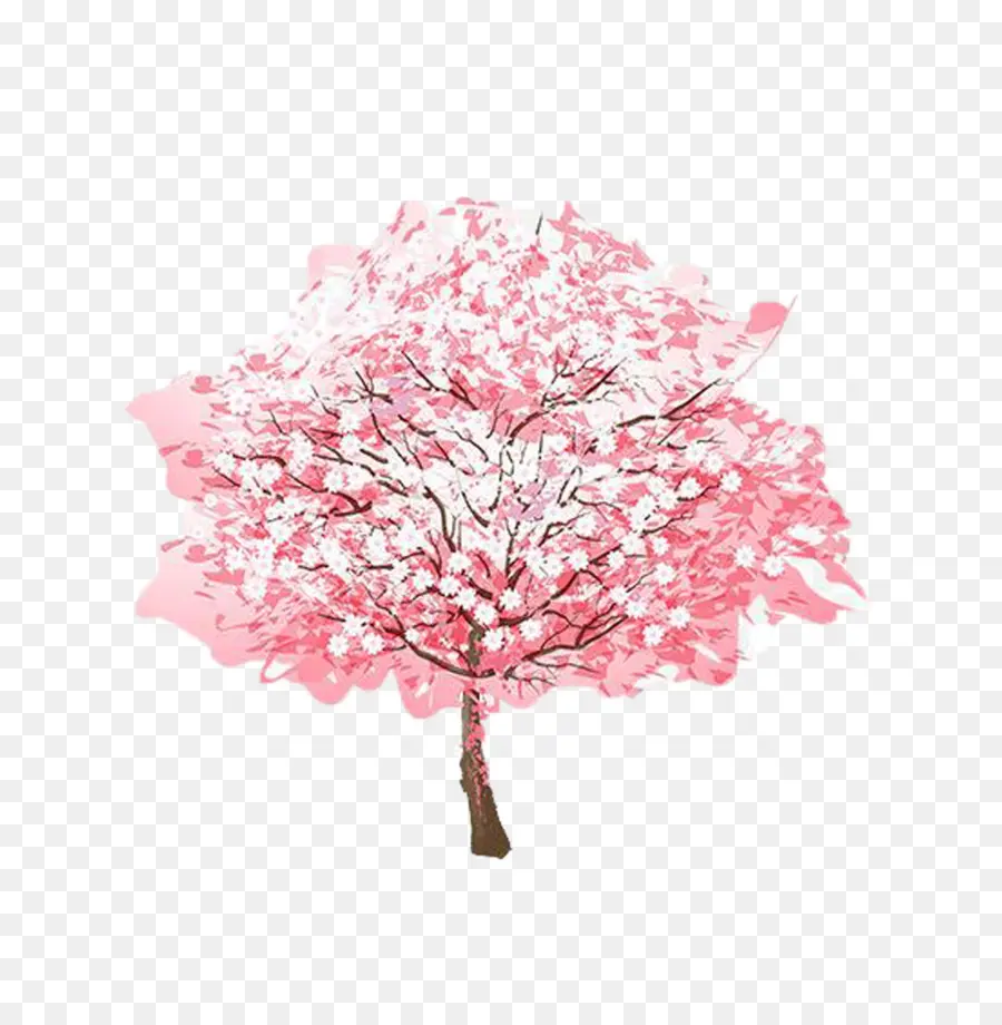 Sakura，Cherry PNG