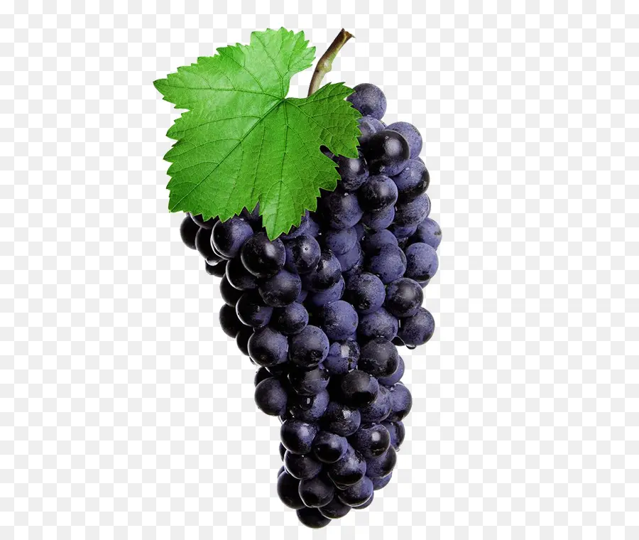 Anggur Merah，Umum Anggur Anggur PNG