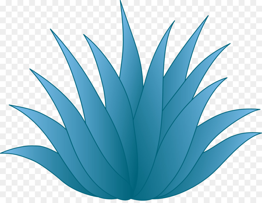 Centuryplant，Tequila PNG