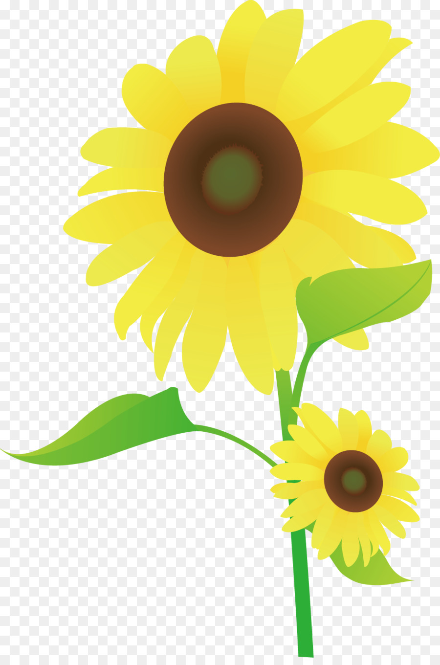 Umum Bunga Matahari Gambar Animasi Gambar Png