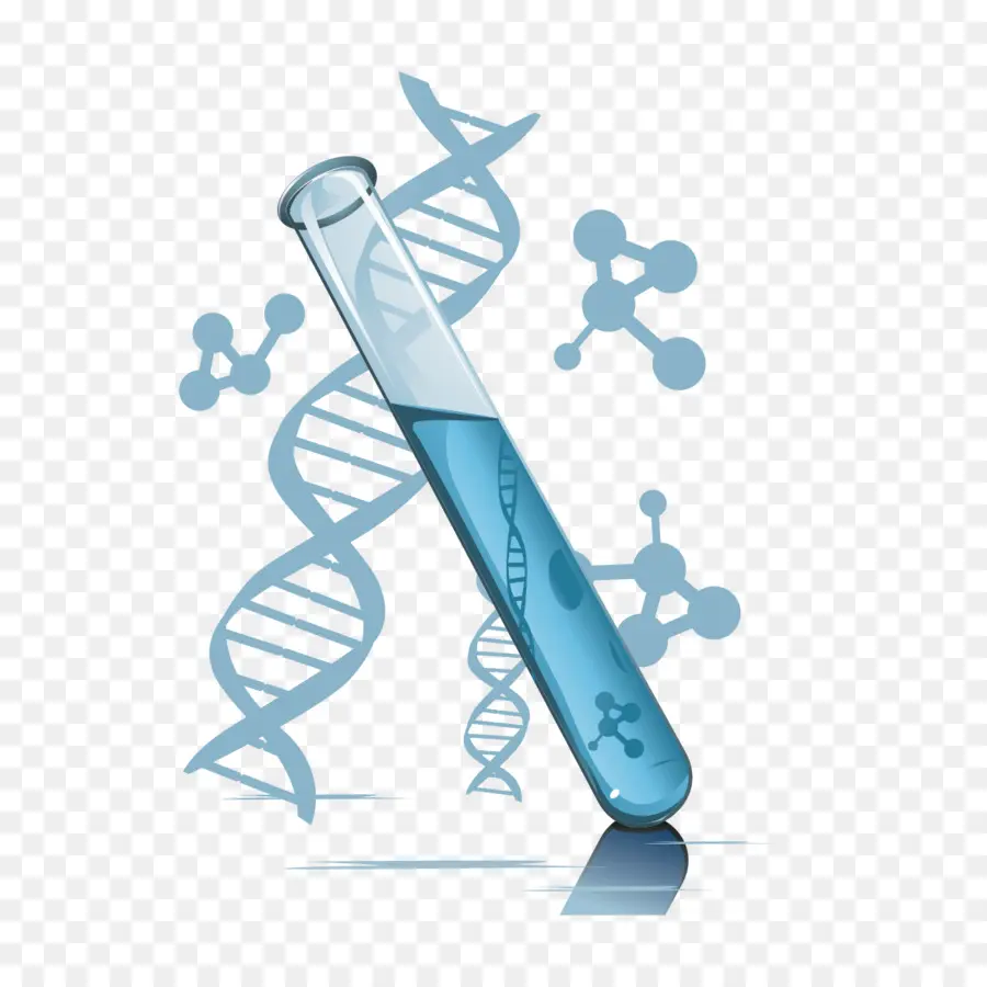 Tabung Reaksi，Dna PNG