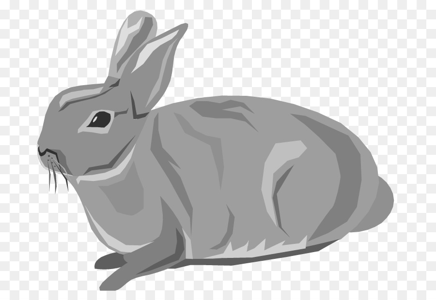 Kelinci Paskah，Snowshoe Hare PNG